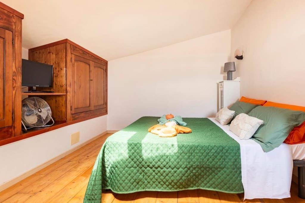 Casa Nel Corso Apartment Pitigliano Bagian luar foto